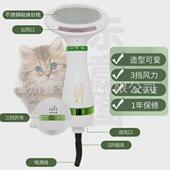 二合一宠物吹梳宠物吹风机热风毛拉毛清洁猫狗宠物吹风梳宠物梳子