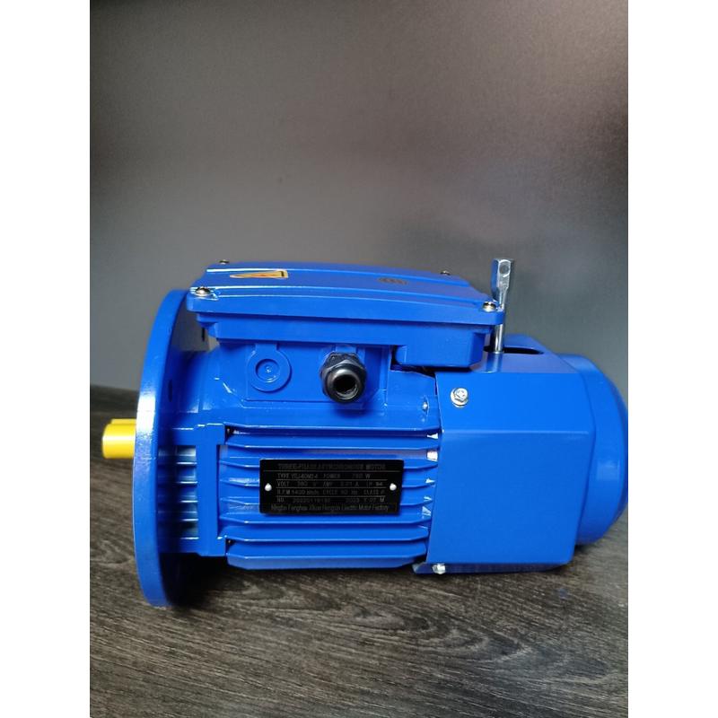 厂家直销刹车快速门电机电机yej-80m2-4-750w-b5