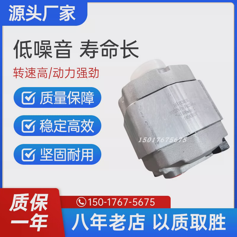 代替HYDAC贺德克齿轮泵PGE101-100/PGE101-125/PGE101-500油泵,标准件/零部件/工业耗材,液压泵,淘宝优惠券,粉丝福利购,淘宝优惠卷