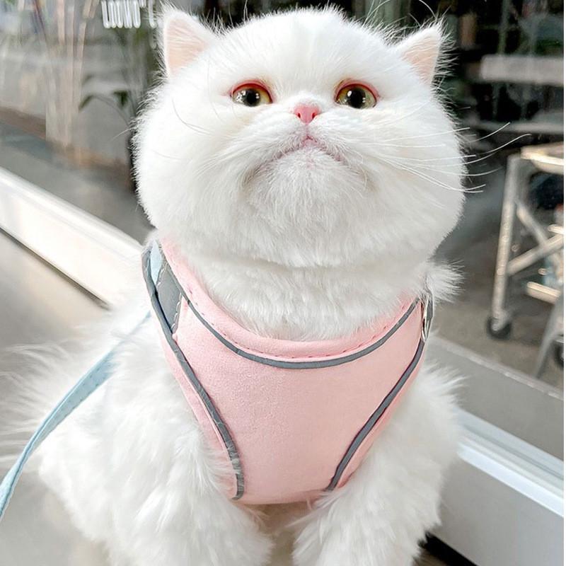 猫咪牵引绳背心式反光胸背带防挣脱可爱外出狗狗牵引绳遛猫专用绳