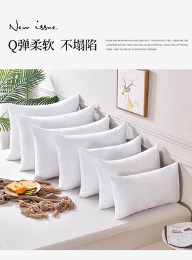 长方形客厅沙发靠垫抱枕芯大号靠背内芯高弹力305080高档订制枕芯