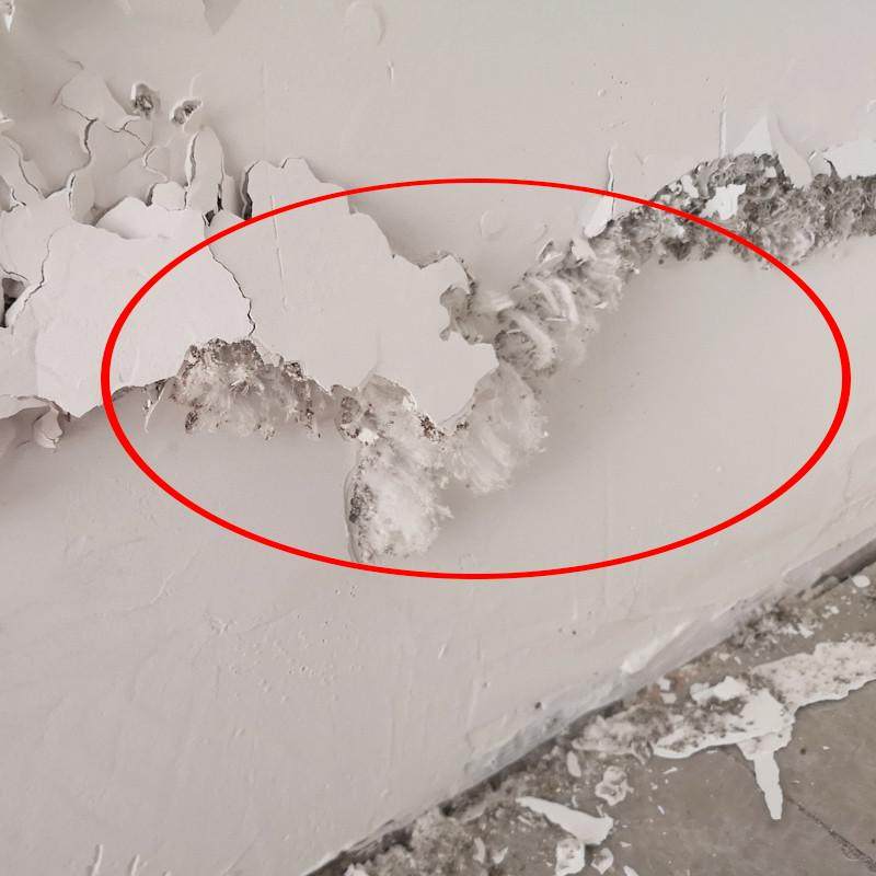 墙面修复补墙膏处理墙碱长白毛防水防潮防霉发霉修补潮湿起皮脱落,基础建材,墙面修补膏,淘宝优惠券,粉丝福利购,淘宝优惠卷