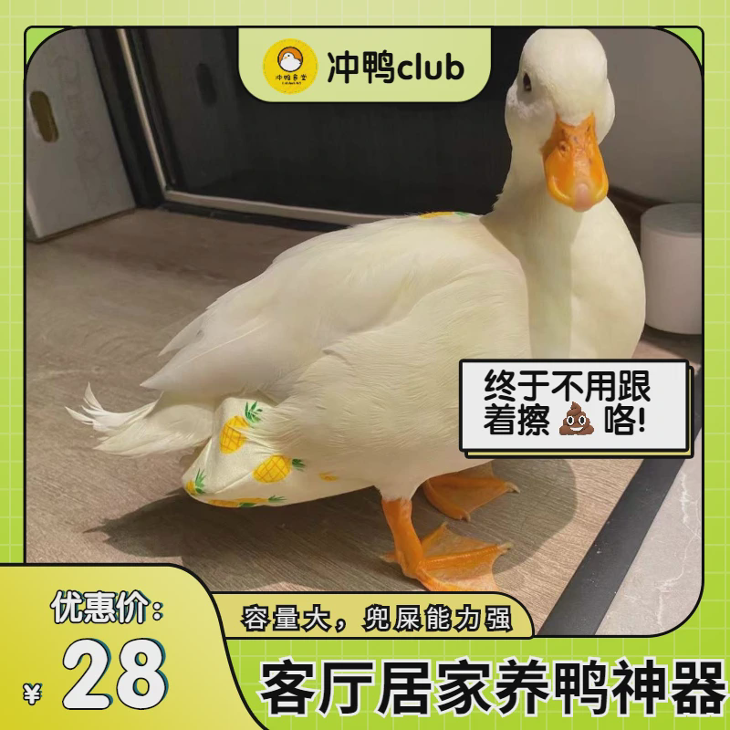 柯尔鸭尿不湿宠物鸭粪兜网红宠物鹅尿片科尔鸭衣服纸尿裤尿布尿垫