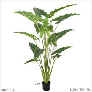 仿真海芋树盆栽160cm假树彩虹芋大型绿植萨利安装饰客厅落地摆件