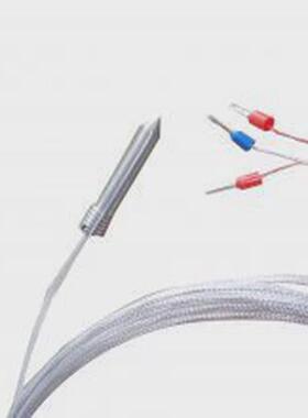 端面铂热电阻wzpm2-026p-00仪表海上润上