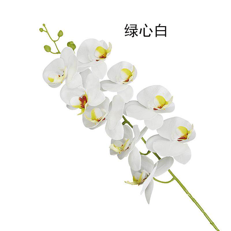 3d打印蝴蝶兰仿真花居家装饰摆件仿真假花盆栽盆景植物批发