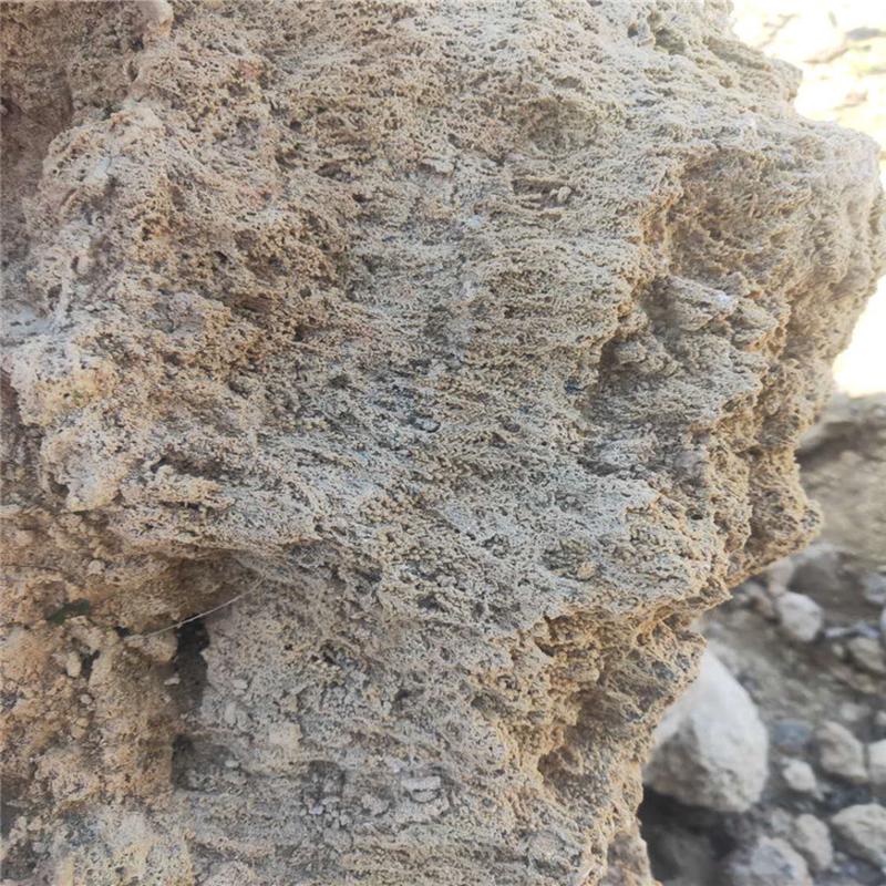 别墅区应大假山石供用的吸水石假山上水石成品植物园用景石