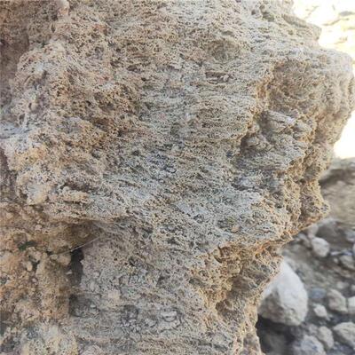 别墅区应大假山石供用的吸水石假山上水石成品植物园用景石