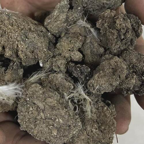 干鸡粪鸡粪肥有机肥植物通用干鸡粪块厂家直供改善土壤肥力肥料