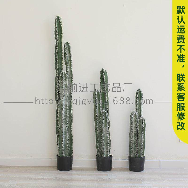 ins网红仙人掌居家装饰客厅落地摆件大型墨西哥量天尺仙人柱绿植