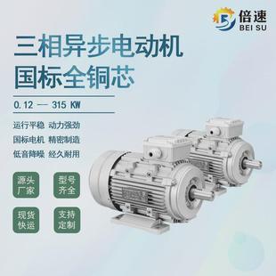 电机 4级250kw三相电动机铸铁壳台州卧式 立倍速电机厂ye3 315l2