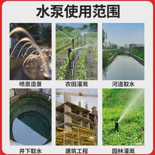 浪奇潜水泵家用井水高扬程小型农用灌溉水泵高扬程清水泵厂家直销