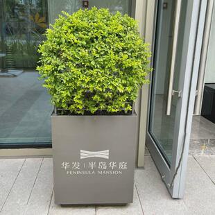 铁艺花槽户外不锈钢花箱座椅坐凳一体广场商业街休息凳景观花池