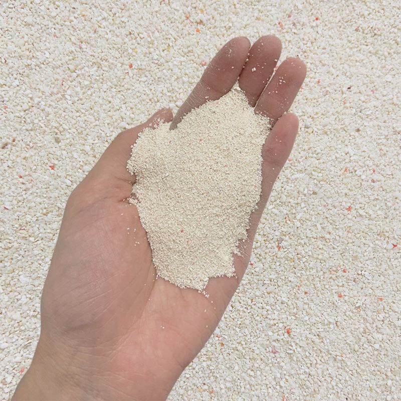 海水缸造景沙菲律宾沙鱼珊瑚寄居蟹贝壳砂慈鲷沙海龟缸底砂