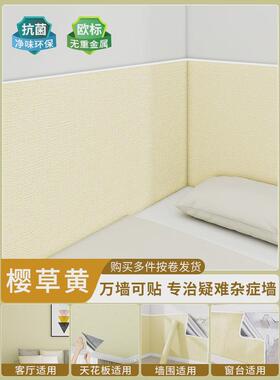 2eie床边墙围贴遮丑壁纸墙纸自粘床头墙面榻榻米软包墙围装饰墙壁