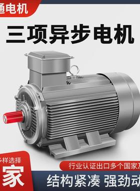 八极132s132m160m1160m22.2铜芯345.5kw千瓦