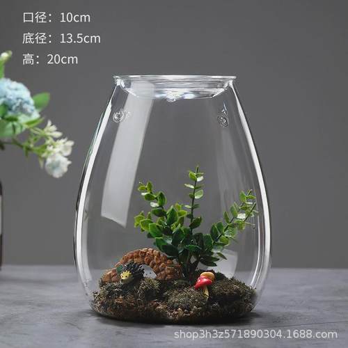 创意微景观玻璃苔藓生态瓶玻璃罩玻璃瓶雫小型迷你办公桌雫摆件