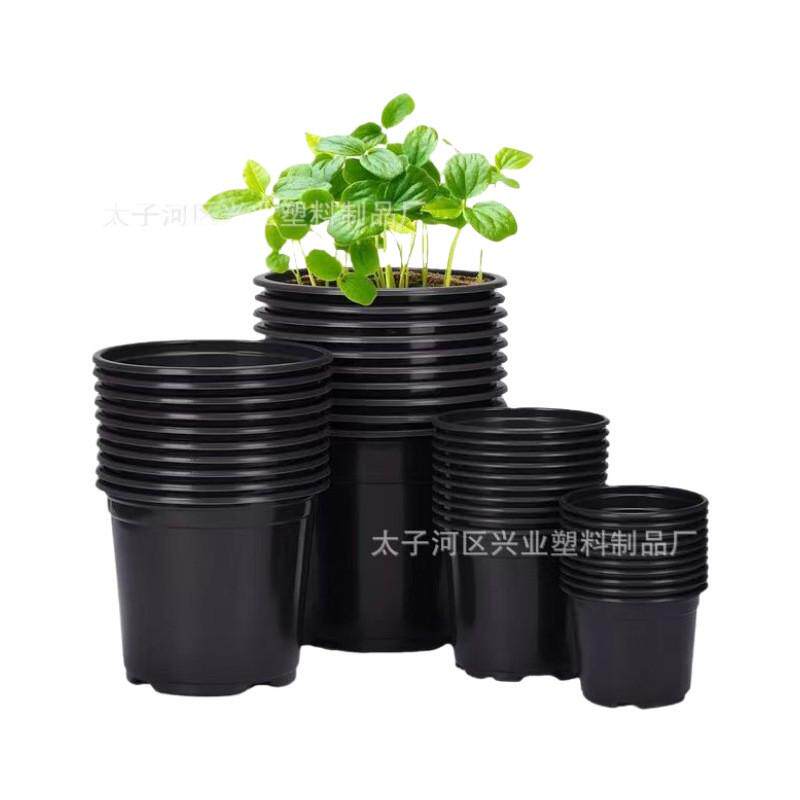 跨境黑色塑料育苗花盆瓜果蔬菜培育育苗盆多肉盆塑料双色花盆包邮