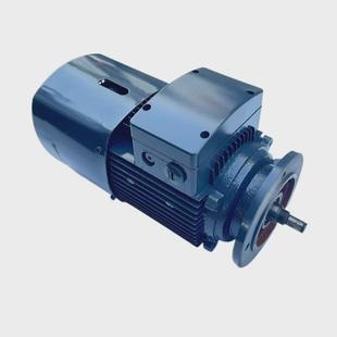 132三江二极电动机 电磁制动刹车电机0.75kw 千瓦yej立式 卧式