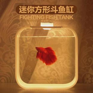 方形圆角泰国迷你桌面生态缸微景观办公斗鱼缸展示缸观赏鱼创意缸