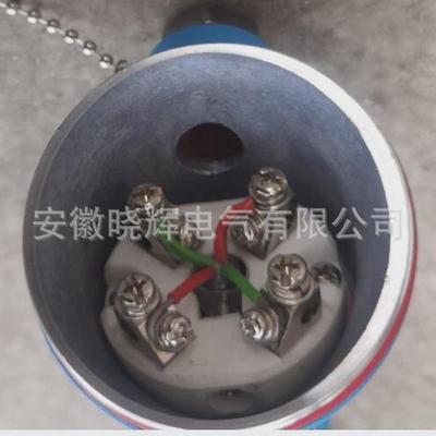 双支铠装耐磨热电偶带安装式法兰卡套wmrnk2-138wrn-131nm