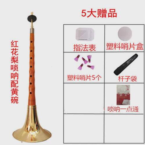 唢呐乐器全套黑檀乌木d包邮初学者d调锁呐送哨盒芯子