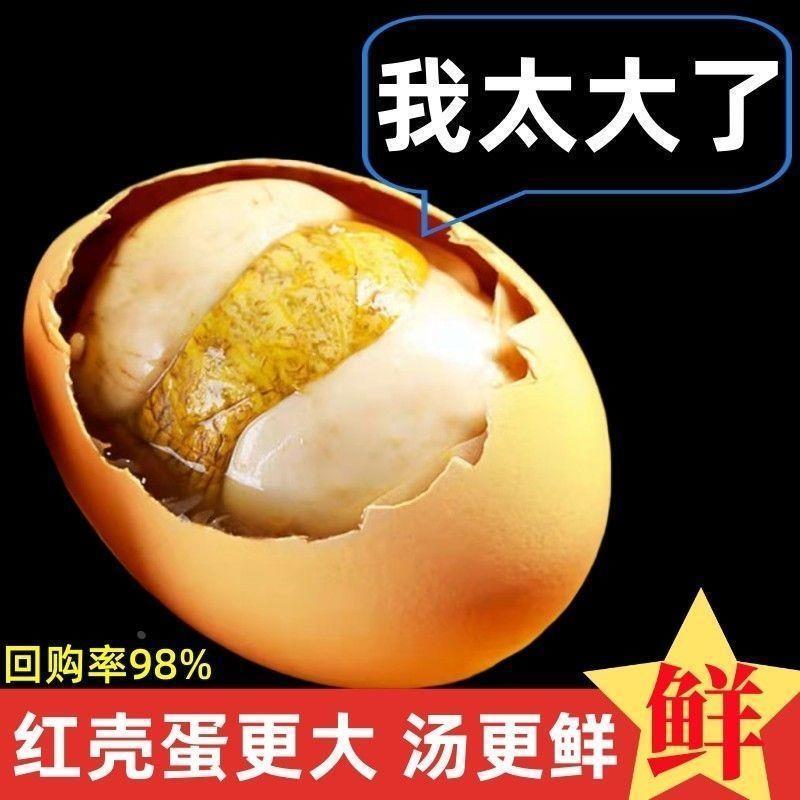 官方旗舰店正宗活珠子鸡蛋香辣味五香味真空即食鸡胚蛋红皮
