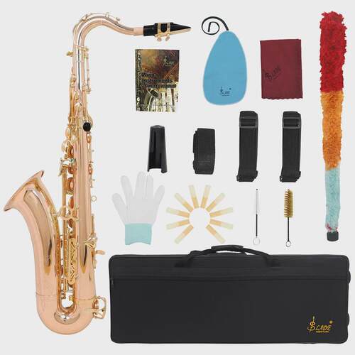 壳降b调次中音萨克斯手工雕花鲍鱼lade管体乐队专业演奏saxophone