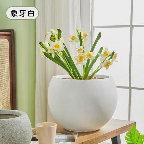 镁泥花盆简约圆球客厅商场室内外落地大号绿植盆栽水泥