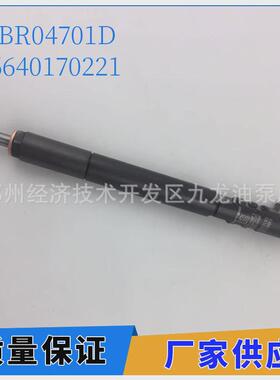 A6640170021喷油器EJBR04701D适用德尔福双龙D20DT