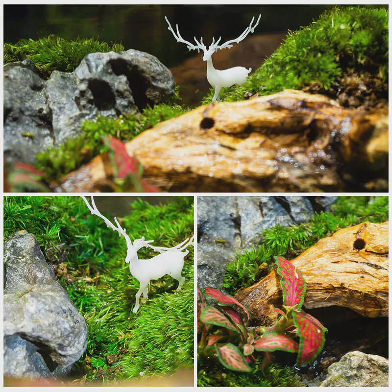 麋鹿森林苔藓微景观植物盆栽生态缸成品创意桌面大造景真植物绿植