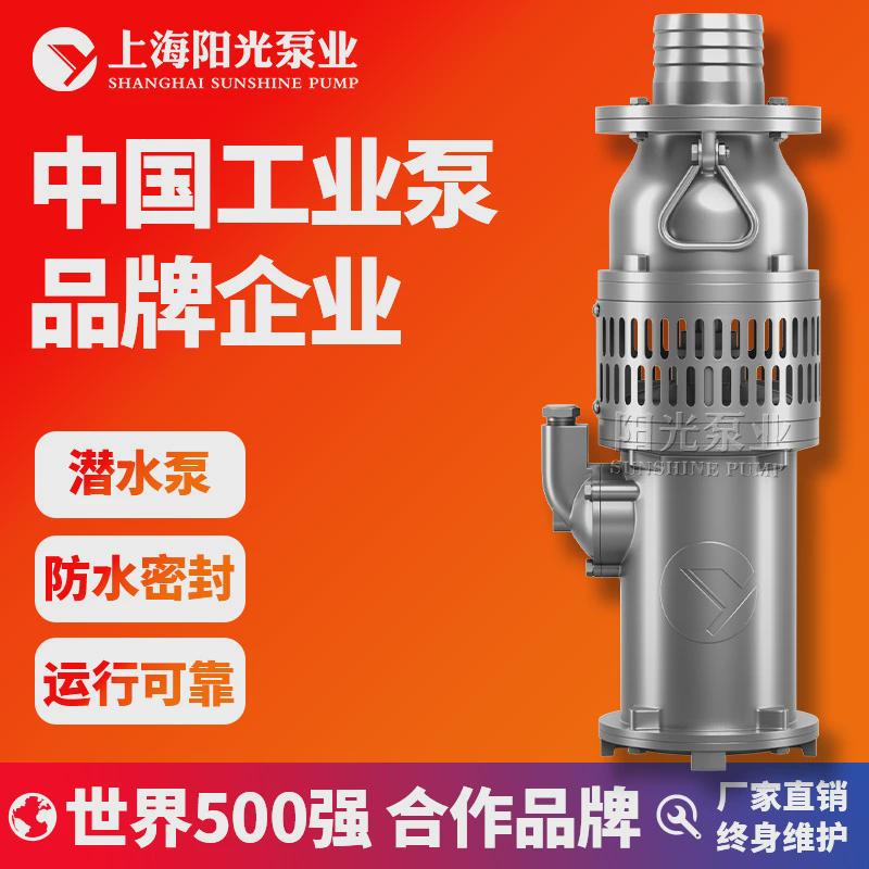 qy型充电泵式潜水电动油充油潜水泵厂家直销现货供应上海阳光泵业