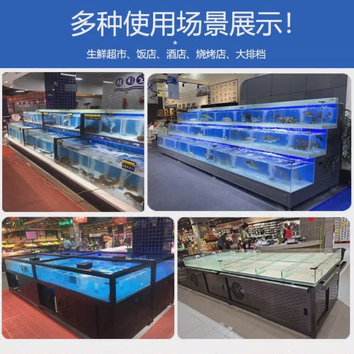 【立减45】海鲜池商用制冷机一体移动海鲜鱼缸饭店鱼池水产海鲜缸