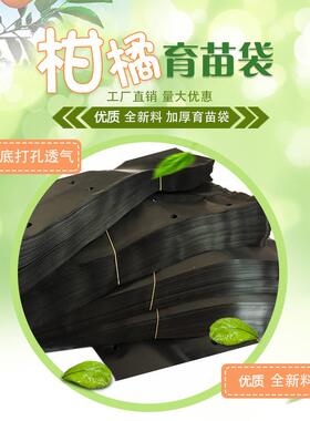 黑色育苗杯种植加厚一次性塑料花盆营养杯袋农用营养袋批发多规格