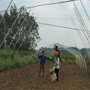 热销无锡现货提供蔬菜大棚骨架大棚骨架蔬菜水果种植反季节可折弯