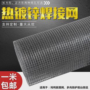 热镀锌电焊网方格阳台窗禽养殖猫鸡鸽防锈笼防护围栏铁钢丝网粗