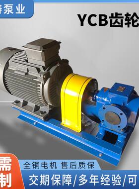 齿轮泵kcb/ycb/2cy系列齿轮油泵离心泵卧式泵吸性自齿轮泵