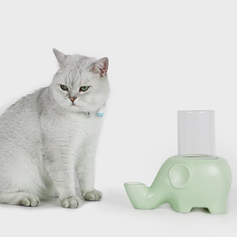 大象宠物猫狗饮水器喝水碗防陶瓷碗扁脸波斯猫防湿下巴加菲猫