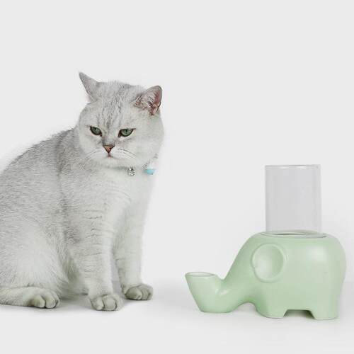 大象宠物猫狗饮水器喝水碗防加菲猫扁脸波斯猫防湿下巴陶瓷碗