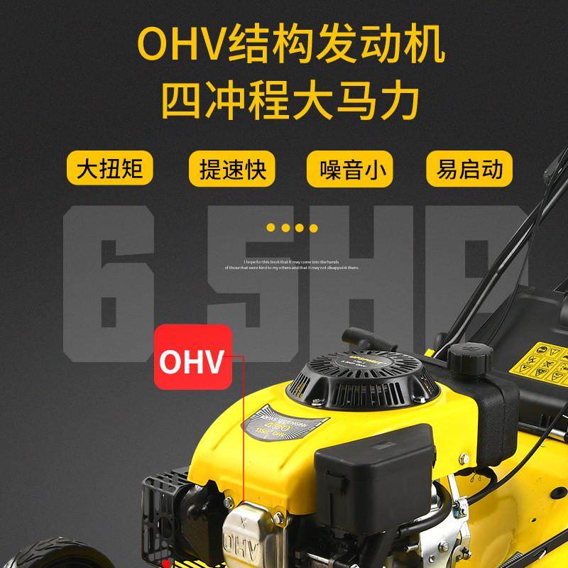 园林四冲程汽油草坪机20寸自走式打草机出口除草机手推式割草机,鲜花速递/花卉仿真/绿植园艺,割草机/草坪机,淘宝优惠券,粉丝福利购,淘宝优惠卷