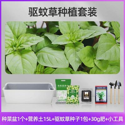 种菜专用箱土院子楼顶阳台种菜种花室内特大家用种植菜箱庭院家庭