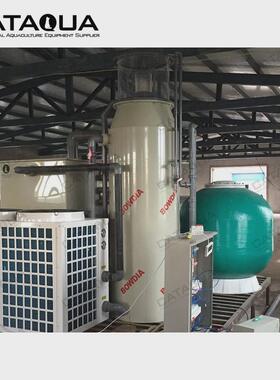 鱼类有机物养殖循环水系统cat系列蛋白质分离器气泡分离水产