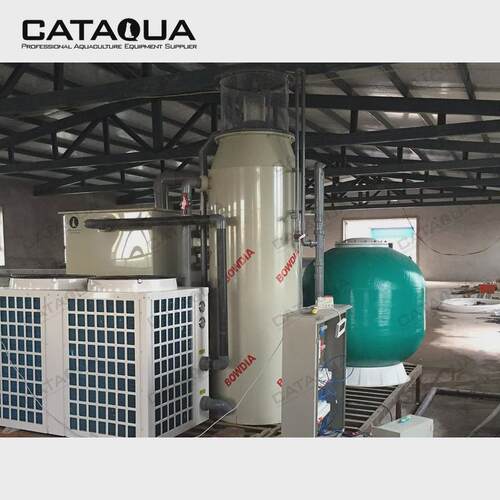 鱼类水产养殖循环水系统系列cat蛋白质分离器气泡分离有机物