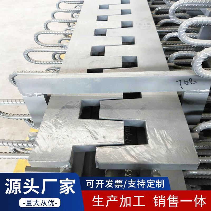 梳齿板式桥梁伸缩缝公路桥梁伸缩装置地面变形缝组合式抗震伸缩缝