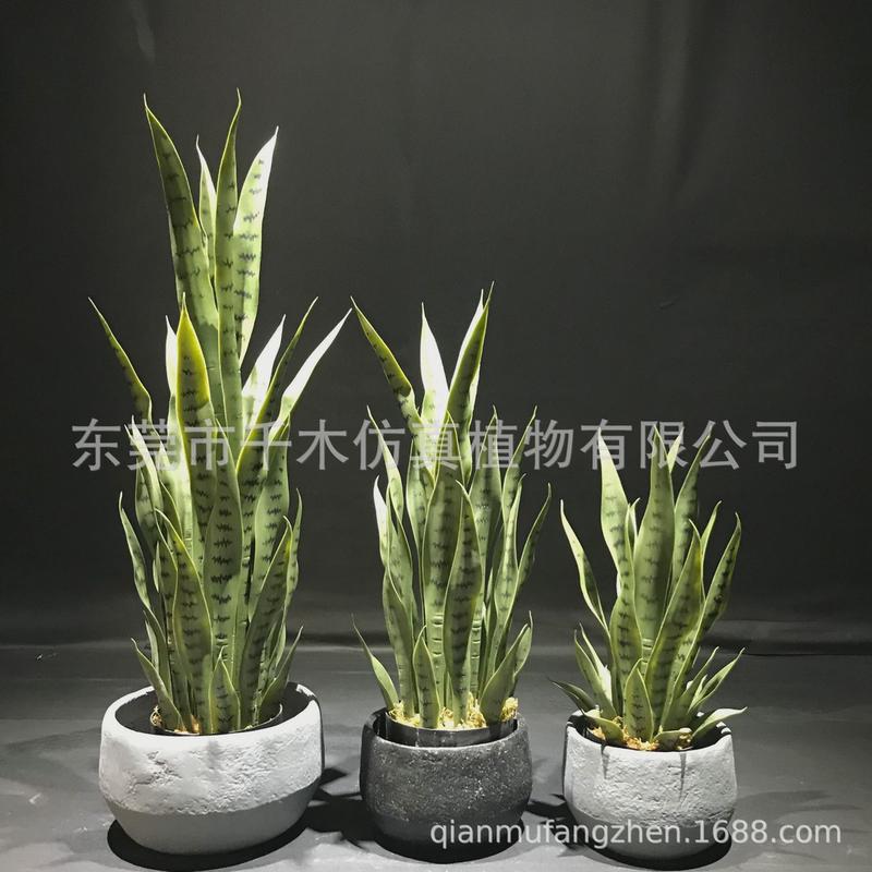 粉红摄影摆件拍摄道具旅人蕉芭蕉喷色婚庆场景布置仿真植物盆景