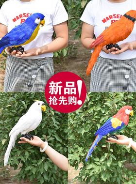 真羽毛仿真鹦鹉鸟类标本动物模型拍摄道具花园庭院家居饰品摆件
