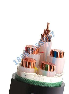 中变频器盛专用变频电缆zr-bpyjvp3*25+2*16