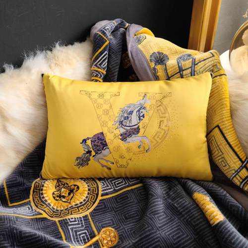 w1yp轻奢两用汽午睡上抱枕被毯子二合一午休车载客厅沙发家用空调