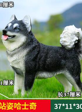 狼狗仿真狗德牧狗金毛柯基大号摆件模型招财庭院客厅树脂动物雕塑