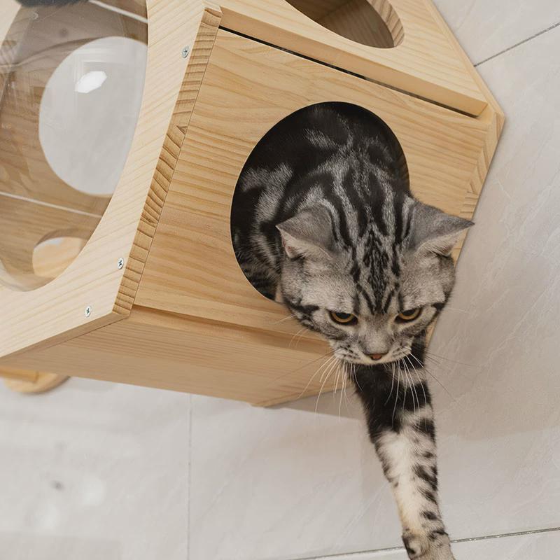 实木挂墙上猫爬架猫墙壁式跳台太空舱猫窝猫屋猫趴架猫别墅壁挂式图片